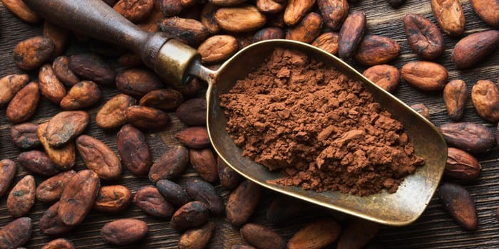Les civilisations précolombiennes préparaient des breuvages médicinaux à base de cacao. 