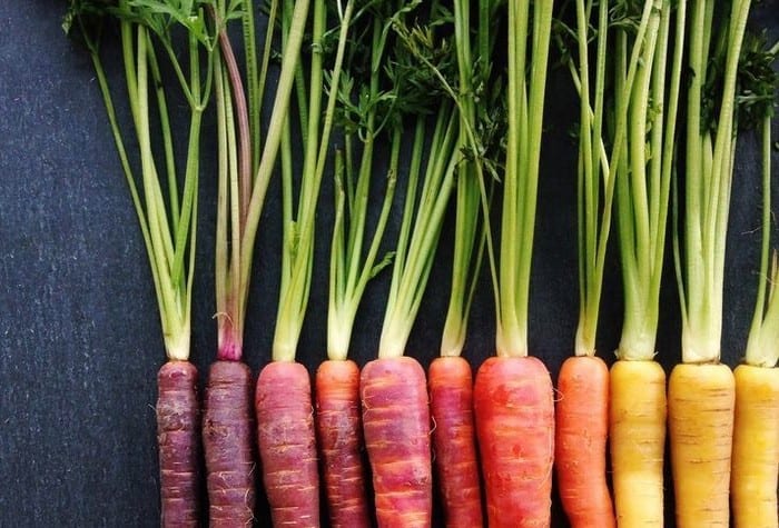 La carotte viollette, blanche, rouge ou jaune sont des anciennes variétés oubliées.