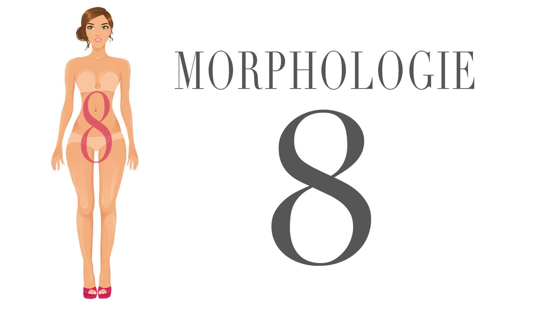 morphologie-8
