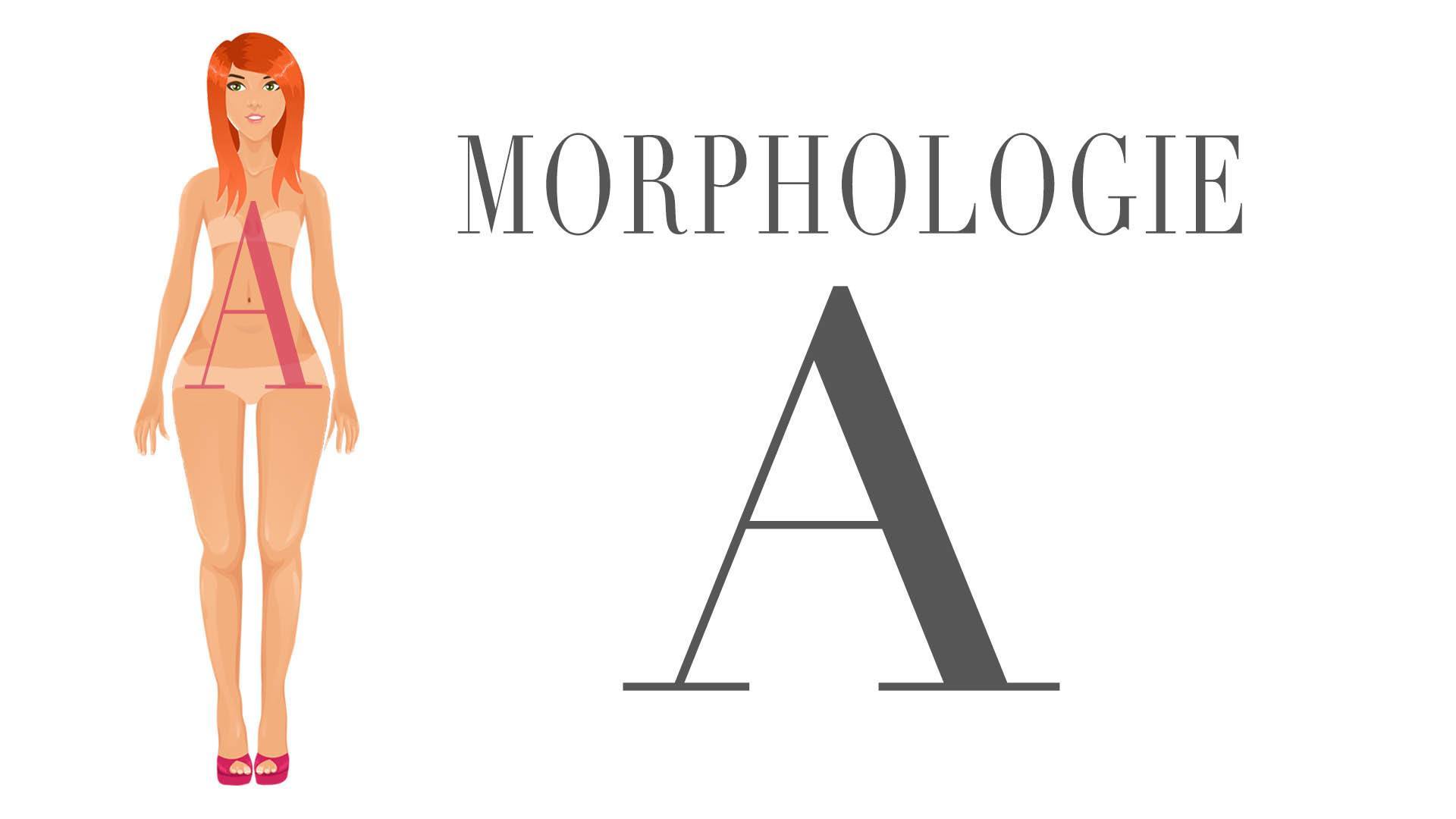 morphologie-a