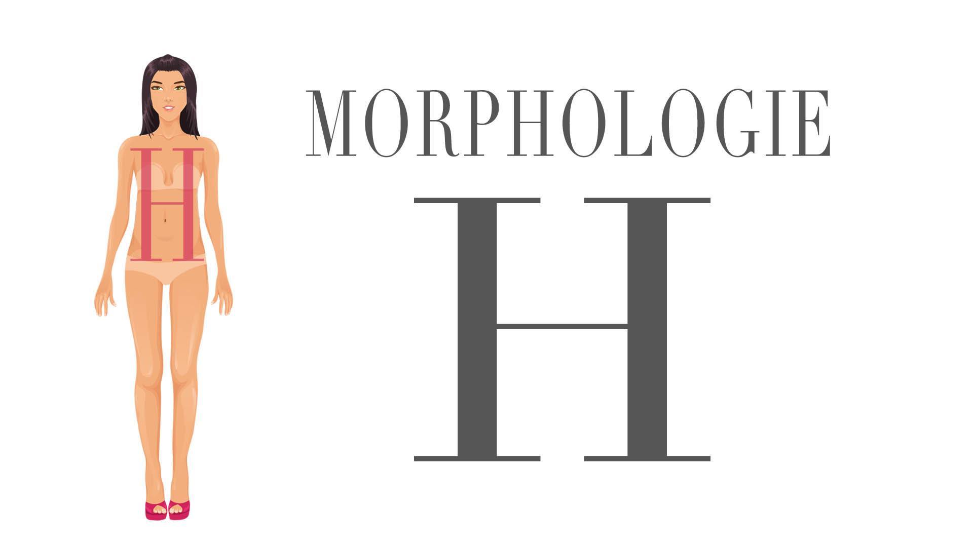 morphologie-h