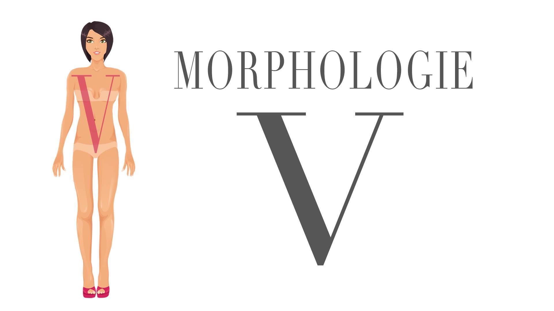 morphologie-v