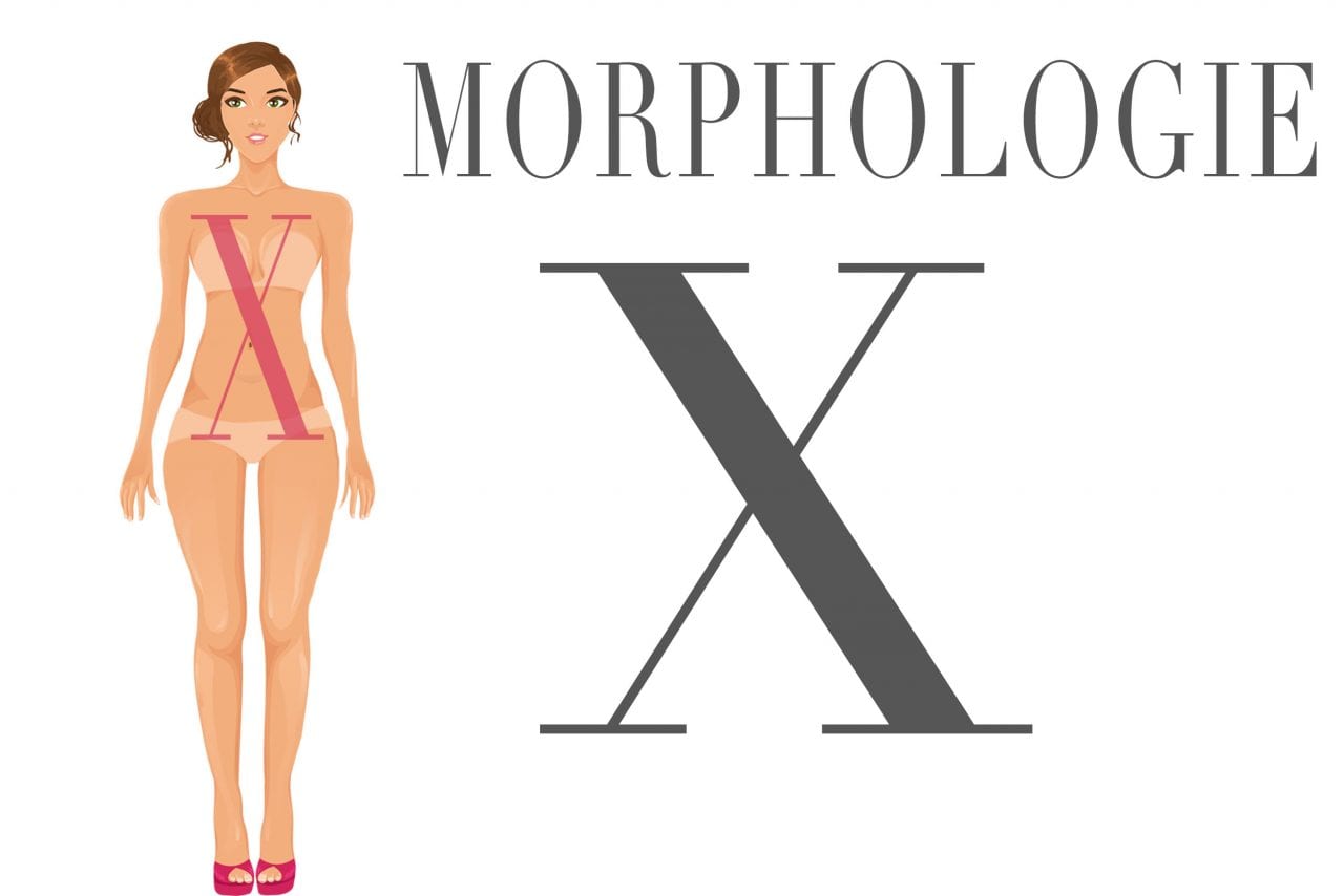 morphologie-x