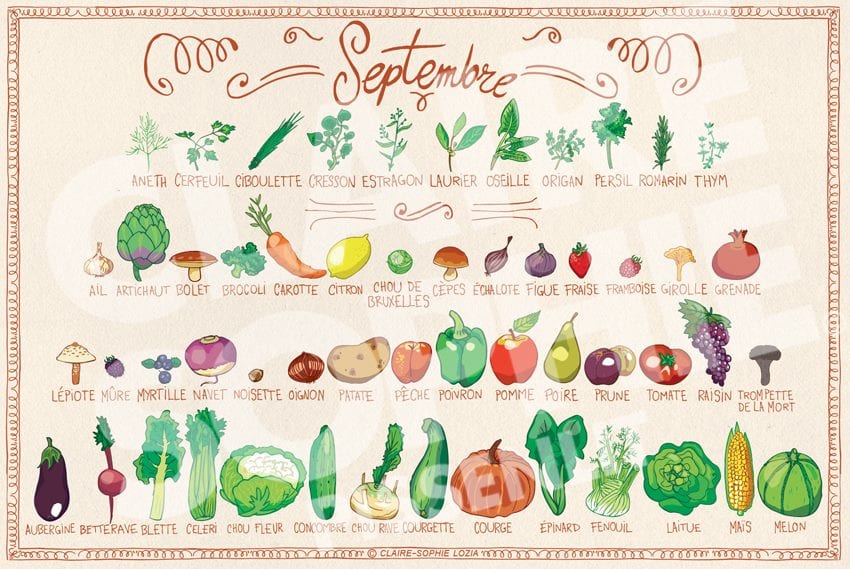 septembre-fruits-de-saison