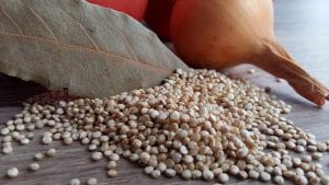 Les graines de quinoa ne contiennent aucun gluten<span style="font-size: 16px;"> </span>