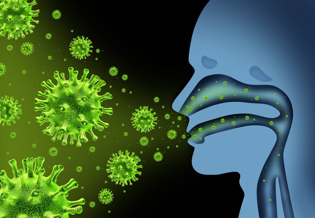 virus grippe
