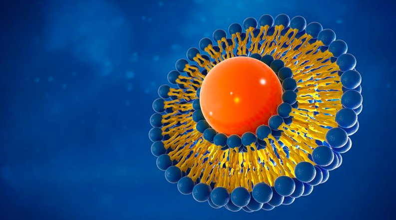 Sous forme liposomale la vitamine C serait plus efficace