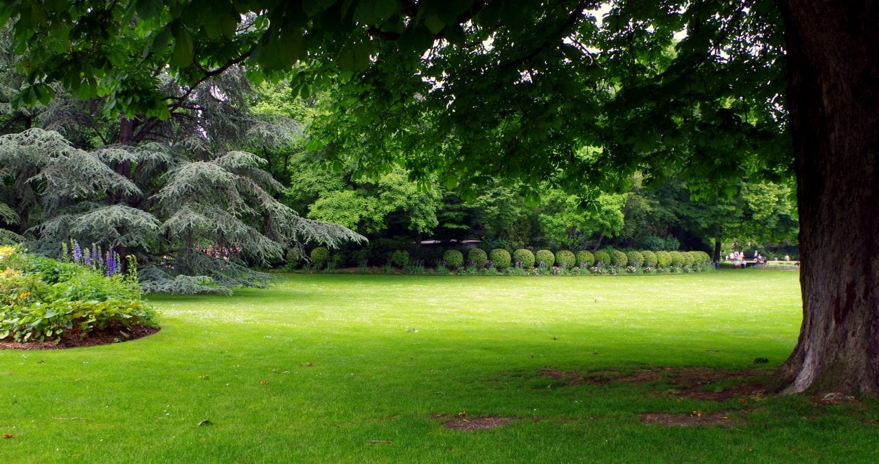 Jardin du Luxembourg 
